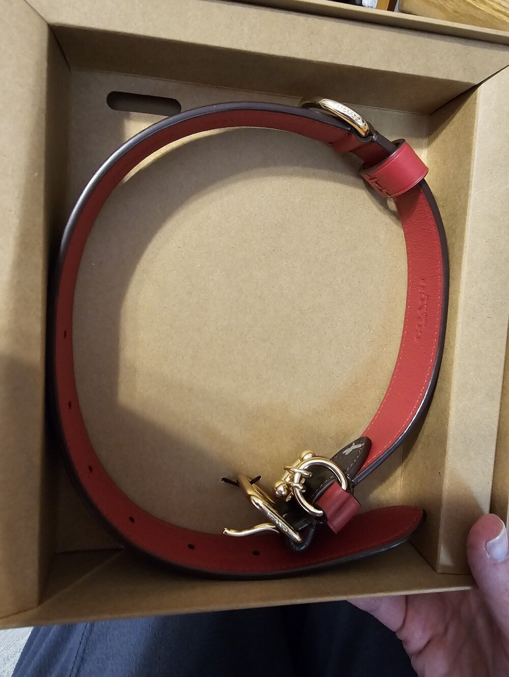Coach Dog Collar